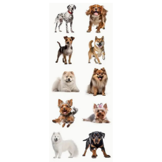 Dog Stickers - assorted 10's
